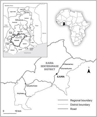 Africa's “Seed” Revolution and Value Chain Constraints to Early Generation Seeds Commercialization and Adoption in Ghana